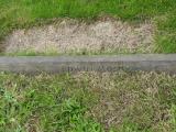 image of grave number 683666